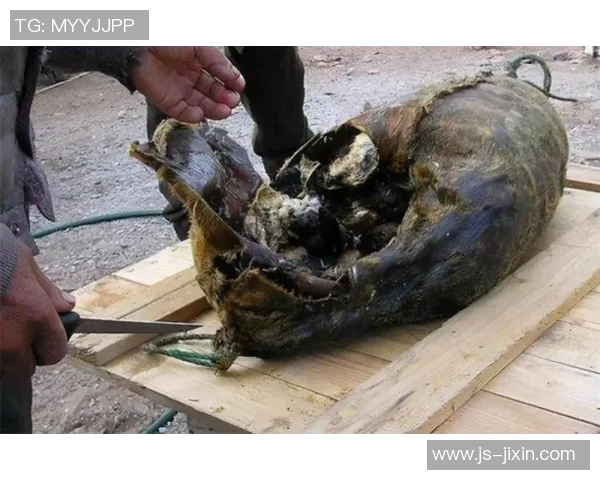 对话赵强：回顾我的网球生涯与成长历程分享